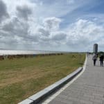Deichlaeufer-Buesum-Warwerort_015